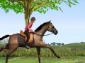 Igra Horse Jumping