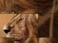 Igra Big brave lion slide puzzle