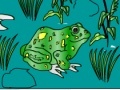 Igra Frog Coloring