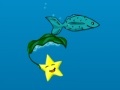 Igra Star Fish