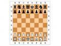 Igranje šaha. Igraj šah na spletu brez registracije