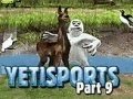 Igra Yeti Sports: Part 9 - Final Spit