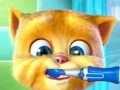 Igra Talking Ginger
