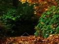 Igra October escape