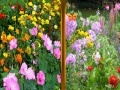 Igra Flowers Similarities