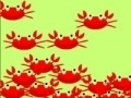 Igra Philippine crabs
