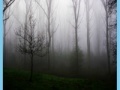 Igra Morning mist jigsaw