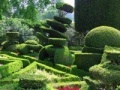Igra Hidden Target-Garden