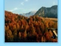 Igra Slovenia jigsaw