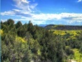 Igra Theodore Roosevelt national park jigsaw
