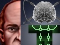 Igra Berts Brain