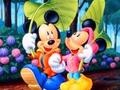 Igra Mickey Love-HS