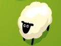 Igra Count Sheep