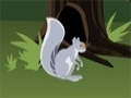 Igra Squirrel