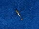 Igra Operation Seahawk