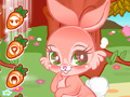 Igra Cute Bunny