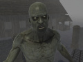 Igra FPS Zombie Range