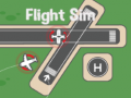 Igra Flight Sim