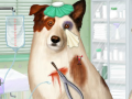 Igra Doctor For Dog With a Blog