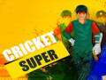 Igra Super Cricket      