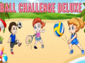 Igra Ball Challenge Deluxe