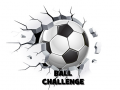 Igra Ball Challenge