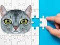 Igra Abyssinian Puzzle Challenge