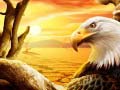 Igra Eagle