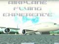 Igra Airplane Flying Expierence