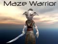 Igra Maze Warrior