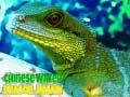 Igra Chinese Water Dragon Jigsaw