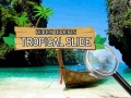 Igra Hidden Objects: Tropical Slide