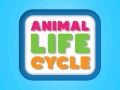 Igra Animal Life Cycle