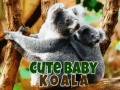 Igra Cute Baby Koala Bear