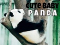 Igra Cute Baby Panda