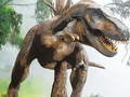 Igra Tyrannosaurus Rex Carnivore Jigsaw