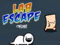 Igra Lab Escape Online