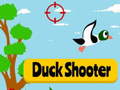 Igra Duck Shooter