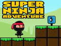 Igra Super Adventure Ninja