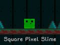 Igra Square Pixel Slime