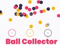 Igra Circle Ball Collector