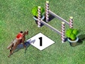 Igra Competition jump