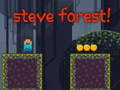 Igra Steve Forest
