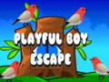 Igra Playful Boy Escape