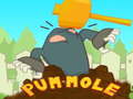 Igra Pum-Mole