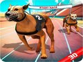 Igra Crazy Dog Race
