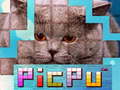 Igra PicPu Cat 