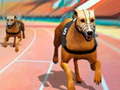 Igra Dogs3D Races