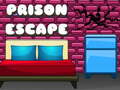 Igra G2M Prison Escape
