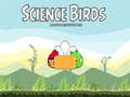 Igra Science Birds